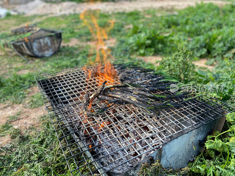 Cooking ‘calçots’ being grilled over a hot fire at home